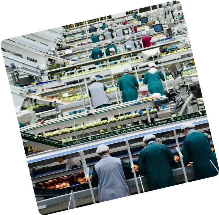 Manufacturing production line food