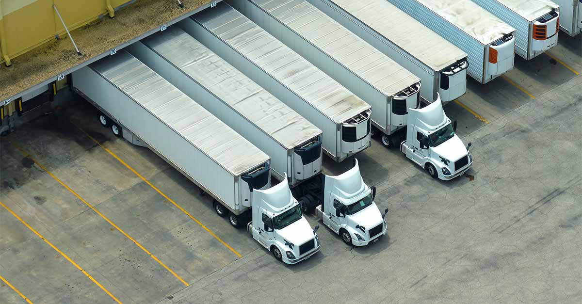 Fleet of 3 white cargo trucks lined up