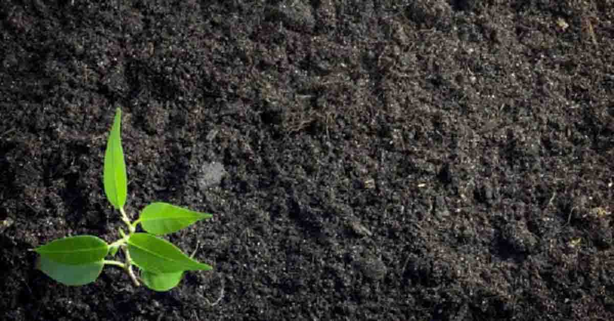 Identify Your Operational Boundary for Greenhouse Gas Emissions